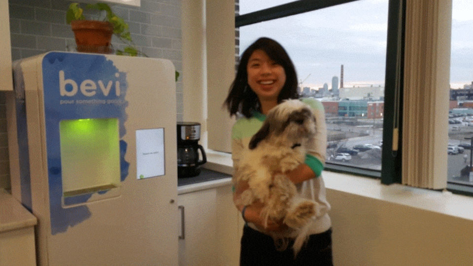 Joyce & Hero, Bevi's Office Dog