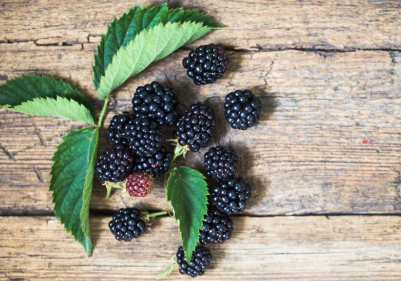Blackberry