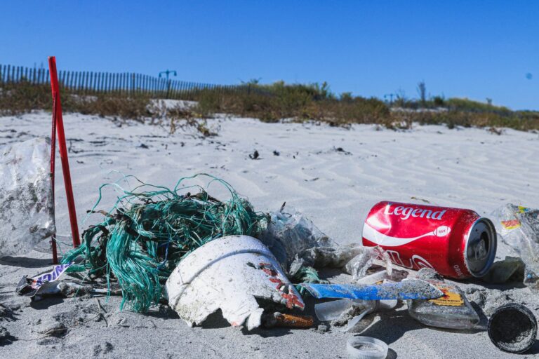 Soda can, styrofaom cup and nylon netting trash on a beach