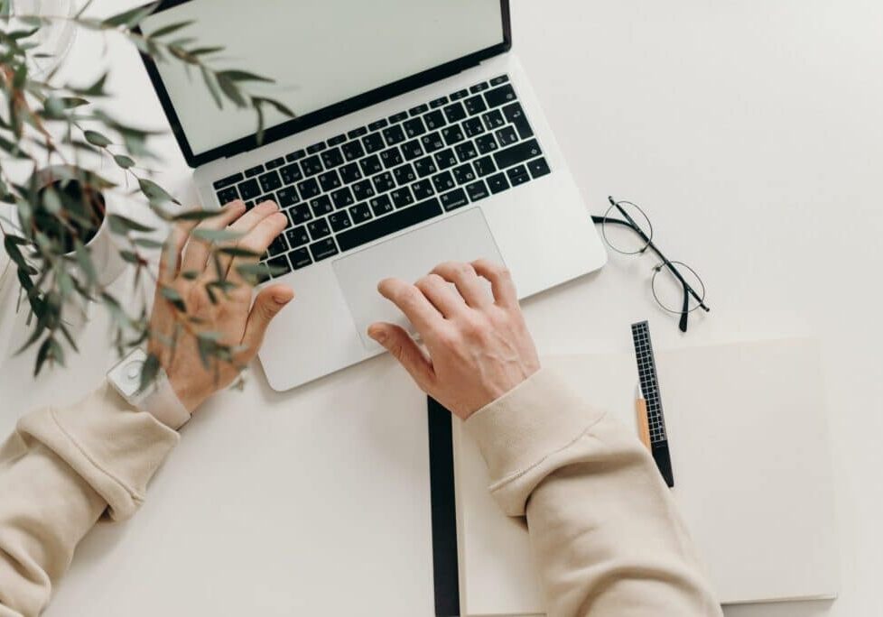 Hands typing on laptop with plant and notebook in the background