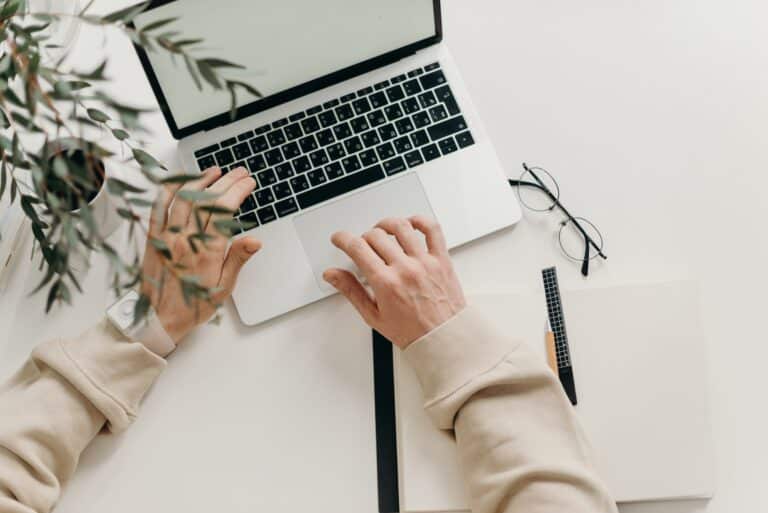 Hands typing on laptop with plant and notebook in the background